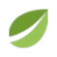 Bitfinex